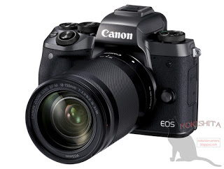 canon_81