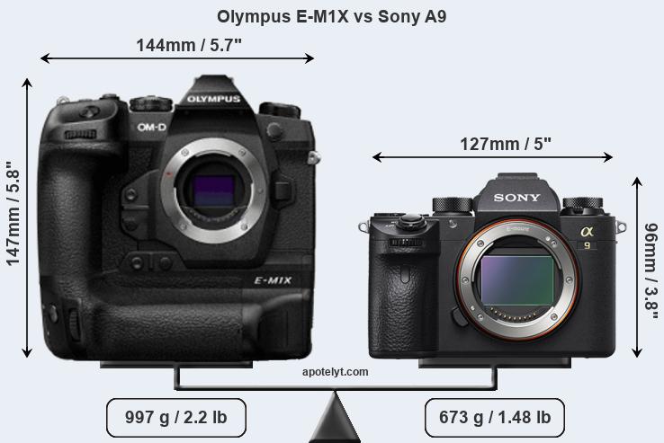 olympus-e-m1-x-vs-sony-a9-front-a.jpg