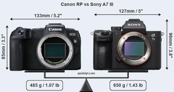 First Canon EOS-RP versus Canon EOS-R vs Sony A7III vs Nikon Z6 size