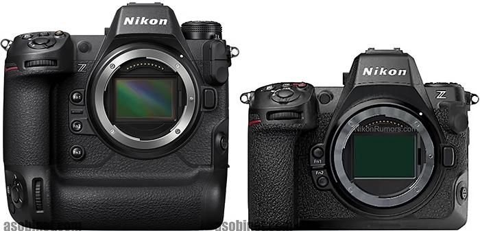 Should You Buy the Nikon Z8 or Z9?